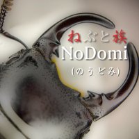 のうどみ (@no13msh) 's Twitter Profile