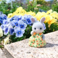 COTO🐰🌿 (@coto_usagi) 's Twitter Profile
