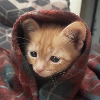 depreaqsssion's profile picture. 𝖑𝖔𝖛𝖊 𝖙𝖔 𝖇𝖊 𝖋𝖗𝖎𝖊𝖓𝖉𝖘, 𝖗𝖆𝖉𝖋𝖊𝖒