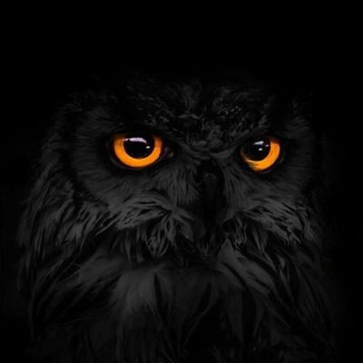 Charismax007's profile picture. Someone Different.