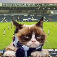 Nat Mansell (@natmansell) 's Twitter Profile Photo Nat Mansell (@natmansell) 's Twitter Profile Photo