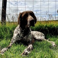 Frankieb (@frankieb152) 's Twitter Profile Photo Frankieb (@frankieb152) 's Twitter Profile Photo