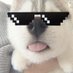 yoitshusky (@yoitshusky) Twitter profile photo yoitshusky (@yoitshusky) Twitter profile photo