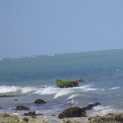 Manivan62504280's profile picture. 