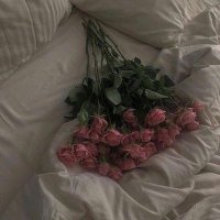 شہهد (@shahdsox) 's Twitter Profile