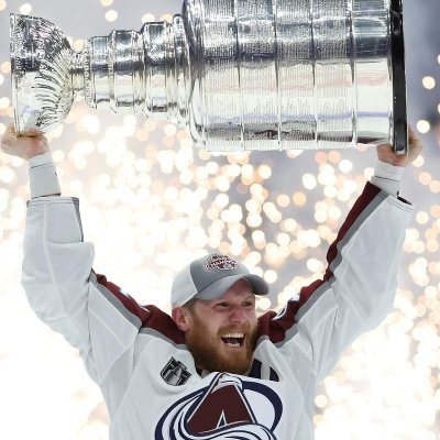 fans_avs's profile picture. Just here for the Avalanche content