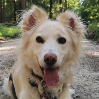 Vince (@vincentmitsos) 's Twitter Profile