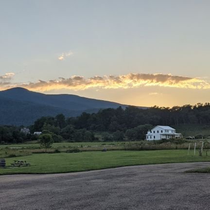 lgoodman222's profile picture. Sometimes you climb out of bed in the morning, and you think, I'm not going to make it, then you laugh and remember all the times you thought that. --Bukowski