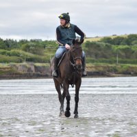 kealan forde (@kealanf14) 's Twitter Profile Photo kealan forde (@kealanf14) 's Twitter Profile Photo