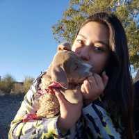 priscii (@priscii41199409) 's Twitter Profile