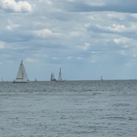 dilek dilek (@dilekbicer55) Twitter profile photo