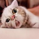 Paulson Joe - @PaulsonJoe2 - Twitter