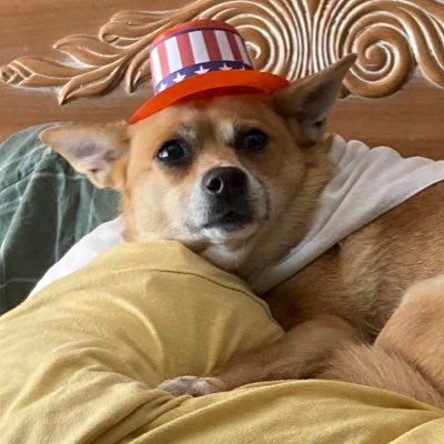 lllllllliJ's profile picture. 