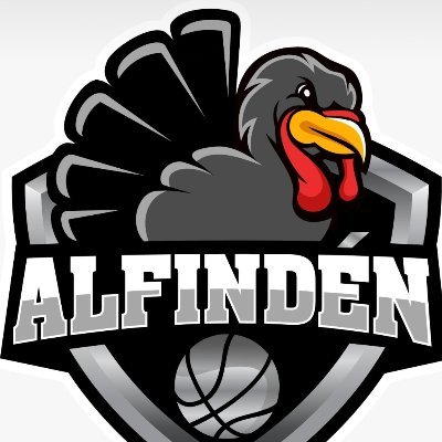 ALFINDEN CB Profile