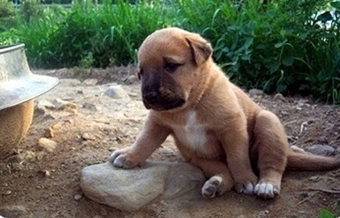 mazinga_Zot's profile picture. 복날엔 고양이루 변신해서 만수무강을 꾀하는 떵개