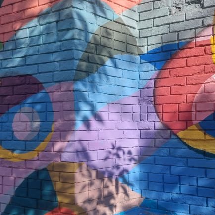 Devcamilagmail1's profile picture. algo