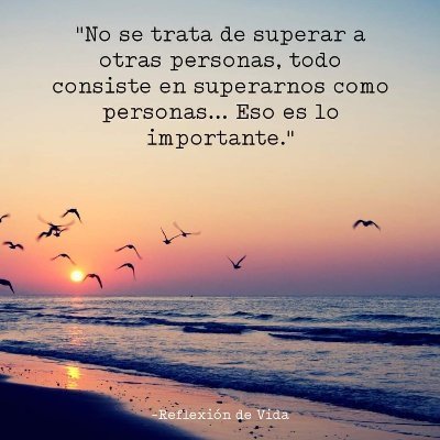 Lic. En Informática.