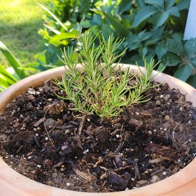 KristinaFoxx17's profile picture. 