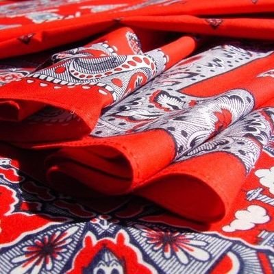 sylviavg's profile picture. Vecht tegen onrecht! vrijheid boven alles. Geen tweedeling in de samenleving