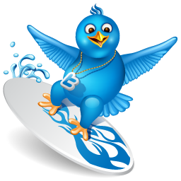 A site with surfing articles, blogs, videos and other resources to help you make sport and stay healthy