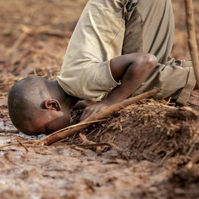 neva_millinga's profile picture. 