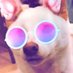 John Wag (@jwagbaltimore) Twitter profile photo John Wag (@jwagbaltimore) Twitter profile photo