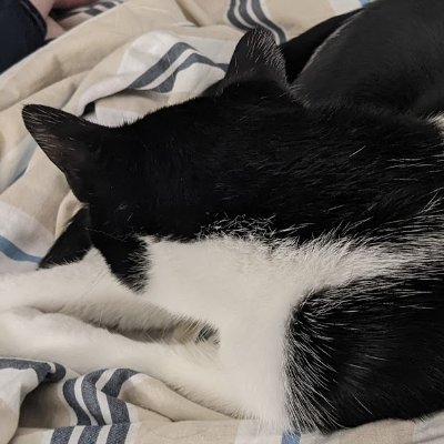 banal_adventrs's profile picture. Fat, trans, aroace, and trying to make freelancing ✨work✨ for me. They/them pronouns. Ghost orb. I was a volunteer for DashCon that one time.