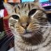 Elgon (@darkspy62275584) Twitter profile photo Elgon (@darkspy62275584) Twitter profile photo