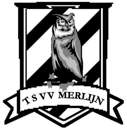 TSVVMerlijn's profile picture. Twitter account van de Tilburgse Studenten Voetbal Verenging Merlijn