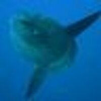 JalandiNegeriSendiri (@hombeadleqmq) 's Twitter Profile