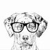 Catahoula Cur (@rynojp) Twitter profile photo Catahoula Cur (@rynojp) Twitter profile photo
