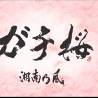 近藤晴哉 (@haruyahho920) Twitter profile photo