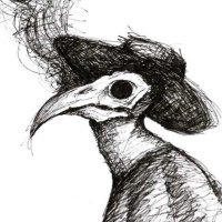 FreddoFrappe (Nox) (@freddofrappe) 's Twitter Profile