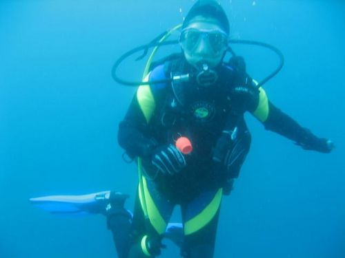 misscousteau's profile picture. 