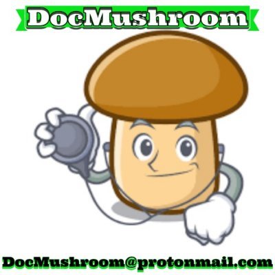 Magic Mushrooms can treat anxiety, depression, PTSD, & even addiction. 

I have quality product, reliable, secure, & safe shipping.

DocMushroom@protonmail.com