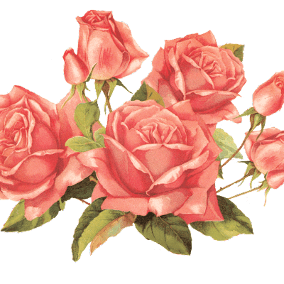 KnowinglyShe's profile picture. 