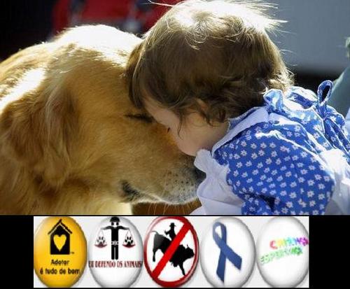 Amo crianças e animais!! Sou contra qlq tipo de crueldade com crianças e animais!!  Só desistirei de lutar por vcs qnd não estiver mais nesse mundo...!!