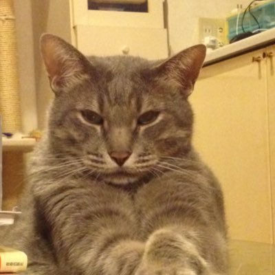 nobbynihongo's profile picture. いろいろなところに行ってみたい。
