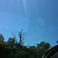 Kath Tonini (@kath_tonini) 's Twitter Profile Photo Kath Tonini (@kath_tonini) 's Twitter Profile Photo