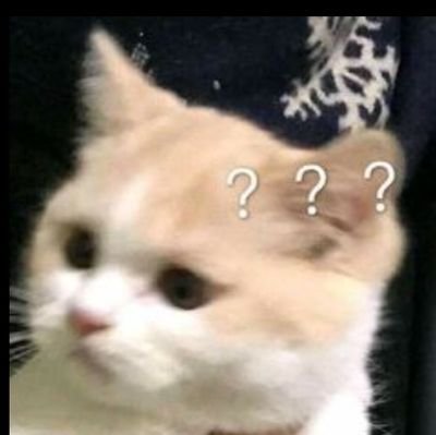 mumu47151187's profile picture. love you 😺