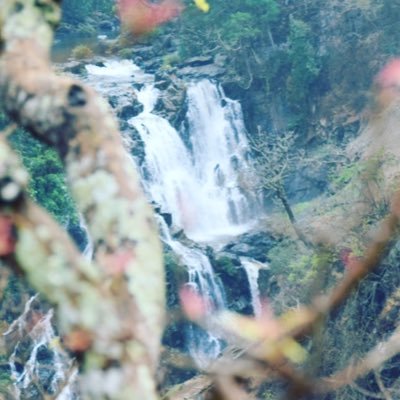 prosperity_life's profile picture. 