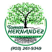 Tomas Hernandez Tree Services LLC(@TomasHe30291196) 's Twitter Profile Photo