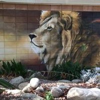 Moore Middle School (@moore_monarchs) 's Twitter Profile
