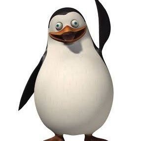 private0p's profile picture. 100% SHIT POSTING ACC