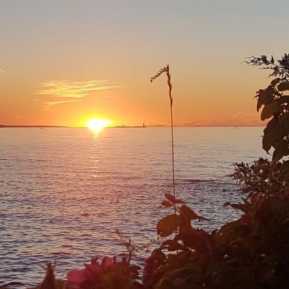 ONdave's profile picture. Enjoy southern gospel, jazz, blues and some country music.
Favourite group: The Oak Ridge Boys; fan since '68

Roof & Energy Technologist
(mostly retired)