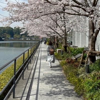 還暦ちょい過ぎ🙇♀️自己流ですが吊るし飾りを制作して楽しんでいます。また植物も大好きです。息子にTwitter教えてもらいましたが、また使いこなせなくて失礼もあるかと思いますが、宜しくお願いします🤲