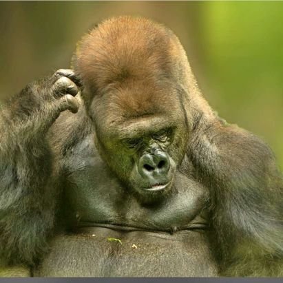 Class2DSC's profile picture. A Banker by profession.. A human by birth