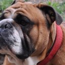 RHYS GREGORY - @RHYSRhys08 - Twitter