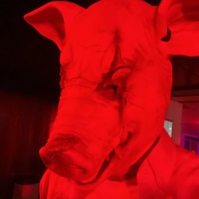 TommasoFerrett3's profile picture. 