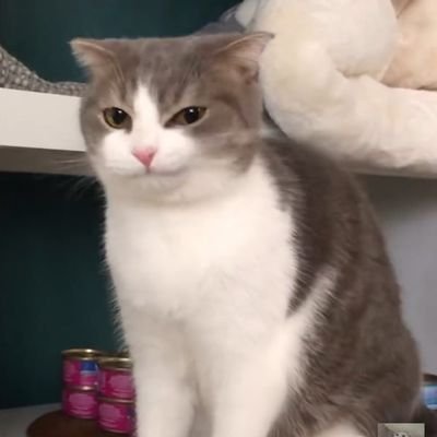 juststayhere2's profile picture. 